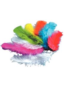 Sachet de 250 grammes de plumes de dinde assortis