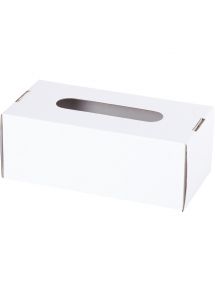 Lot de 10 boîtes à mouchoirs en carton blanc