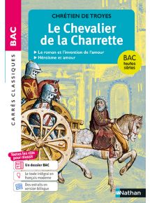 Le chevalier de la charrette
