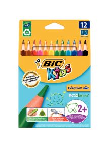 Crayon de couleur Evolution Triangle, étui de 12