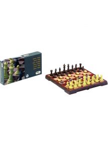 Jeux d'échecs et de dames magnétiques