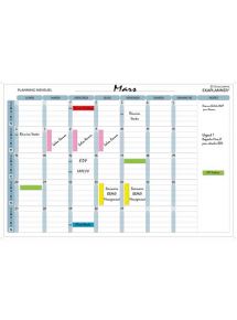 Planning mensuel magnétique 90x59cm vendu en kit avec de nombreux accessoires