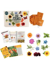 Kit des abeilles et des fleurs