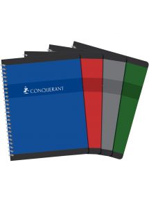 Cahier 21x29,7cm, 100p, grands carreaux, spirale 60g