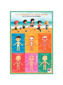 Poster en PVC 76x52 cm le corps humain