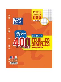 Feuillets mobiles perforées 21x29,7cm, petits carreaux, 400 pages, 90g