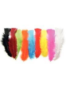 Sachet de 25 grammes de plumes de dinde, couleurs assorties
