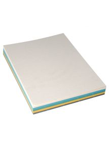 Paquet de 100 couvertures grain cuir 250g A4 coloris assortis
