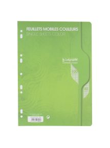 Feuillets mobiles perforés 21x29,7cm, grands carreaux, 100 pages, vert, 80g