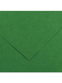 Paquet de 10 feuilles Colorline 50x65 cm 150 g vert mousse