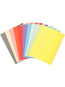 Paquet de 100 chemises 220g FOREVER, format 24x32 cm, coloris assortis