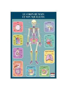 Poster en PVC 76x52cm le squelette