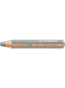 Crayon de couleur multi-talents Woody 3in1 Argent