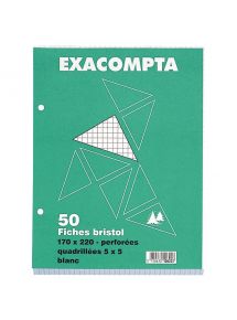 Paquet de 50 fiches bristol perforées carte forte 205 g blanc petits carreaux format 17 x 22 cm