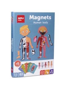 Boîte de 63 magnets pour apprendre le corps humain