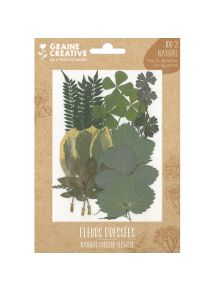 Feuille séchée Forest pour la création de bougies, objets en bois, bijoux, sachet de 21 feuilles