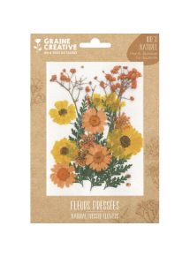 Fleur séchés Prairie Jaune pour la création de bougies, objets en bois, sachet de 18 fleurs