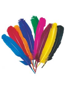 Sachet de 12 plumes d'indien couleurs assorties