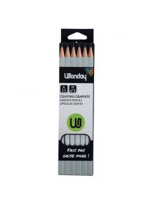 Boîte de 12 crayons graphite standard H