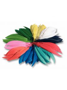 Sachet de 100 grammes de plumes d'indien couleurs assorties