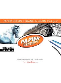 Papier dessin blanc 224g, format 24x32cm, pochette de 12