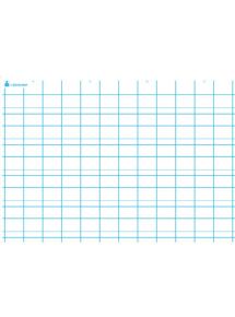 Carte d'écriture plastifiée, effaçable à sec, double ligne