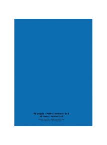 Cahier polypro 24x32cm, 96p, petits carreaux, bleu