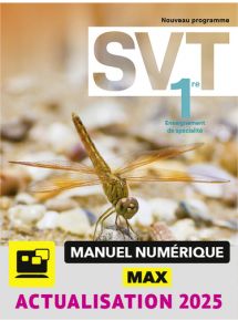 MAX Numérique complément du papier