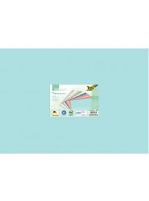 Paquet de 100 feuilles 130g  50x70cm 10 couleurs pastels