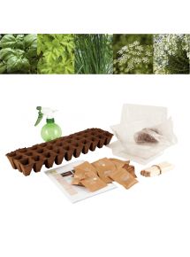 Carton de 30 sachets de graines aromates bio