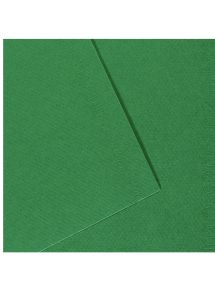 Paquet de 10 feuilles mi-teinte format 50x65cm  vert billard