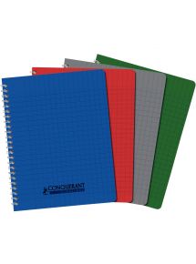 Cahier 21x29,7cm, 100p, grands carreaux, spirales, 90g, polypro