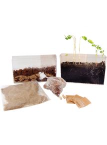 Visio nature : racines et lombrics