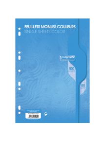 Feuillets mobiles perforés 21x29,7cm, grands carreaux, 100 pages, bleu, 80g