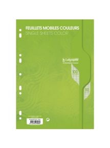 Feuillets mobiles perforés 21x29,7cm, grands carreaux, 100 pages, vert, 80g