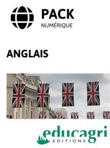 Pack Anglais - Tarif à partir de 200 licences