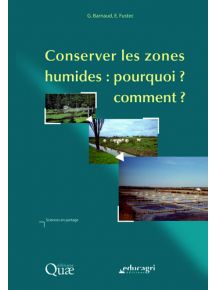 Livre numérique