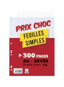 Feuillets mobiles perforés 21x29,7cm , grands carreaux, 300 pages, 70g