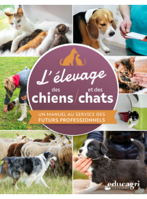 Manuel numérique seul