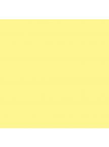 Paquet de 25 feuilles Cartoline 50x65cm jaune