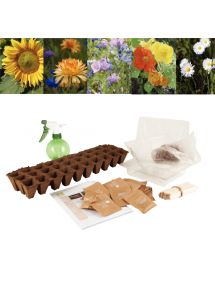 Carton de 30 sachets de graines de fleurs
