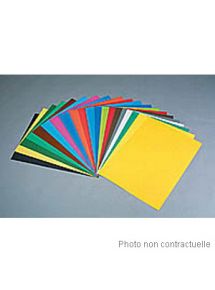 Feuille dessin couleur Tiziano 160g, format 50x65cm, bouton d'or