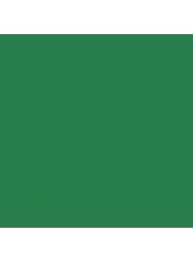 Paquet de 25 feuilles Cartoline 50x65cm vert foncé
