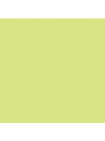 Paquet de 25 feuilles Cartoline 50x65cm vert clair