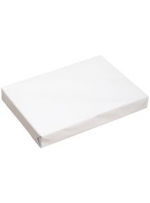 Ramette de 500 feuilles format A3 80g blanc économique