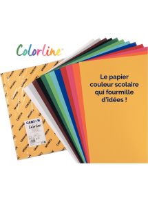 Paquet de 25 feuilles Cartoline 130g couleurs assorties, format 50x65cm
