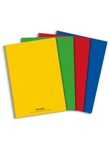 Cahier polypro 21x29,7cm, 100p, petits carreaux, spirale 90g