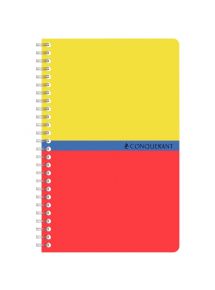 Carnet 9x14cm, 100 pages, petits carreaux, spirale