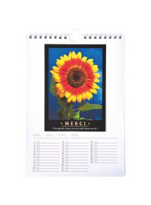 Calendrier à décorer, format 17x24 cm