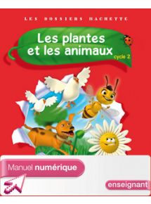 Licence découverte - 3 mois